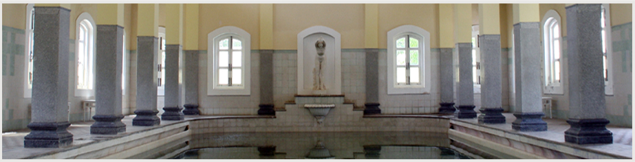 About Royal Oasis