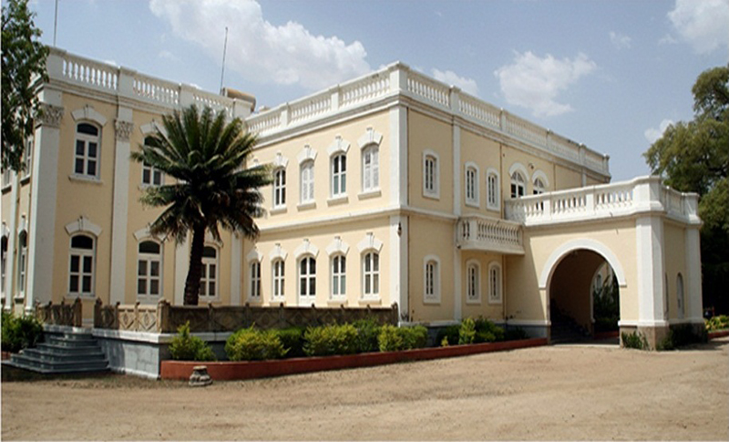 The Royal Oasis